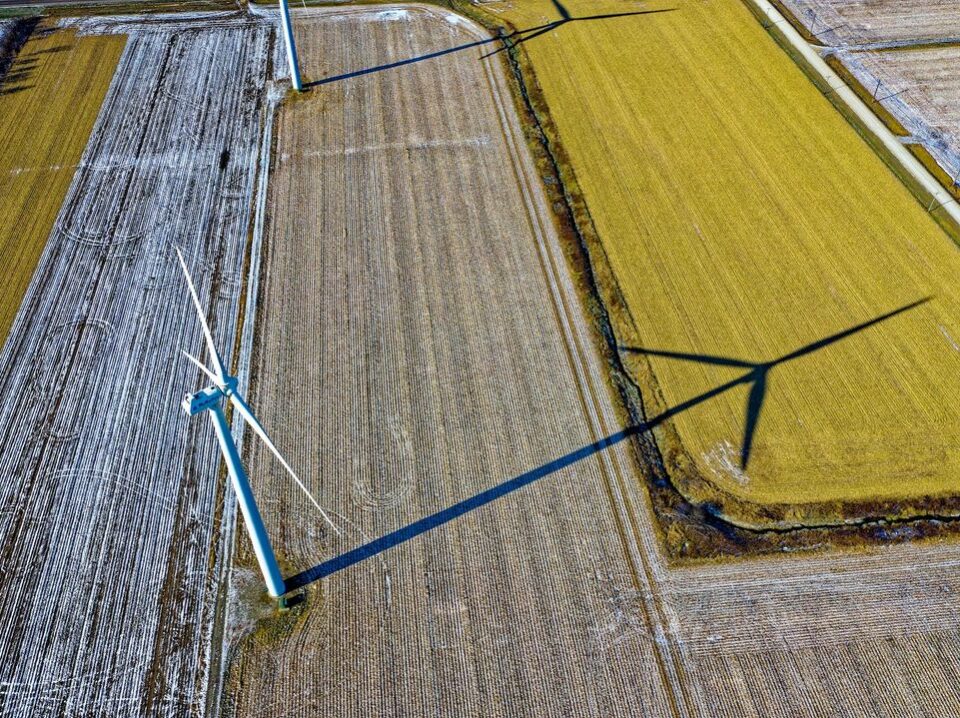 Earthmaster Environmental Strategies