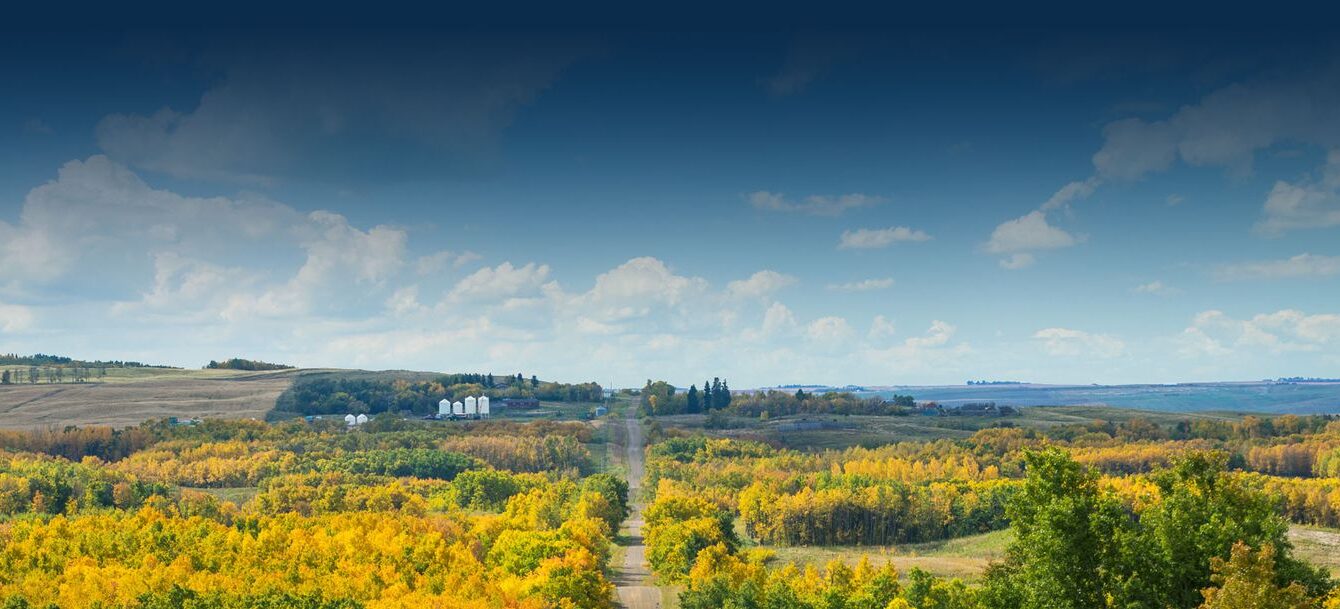 torc-oil-gas torc-oil-gas